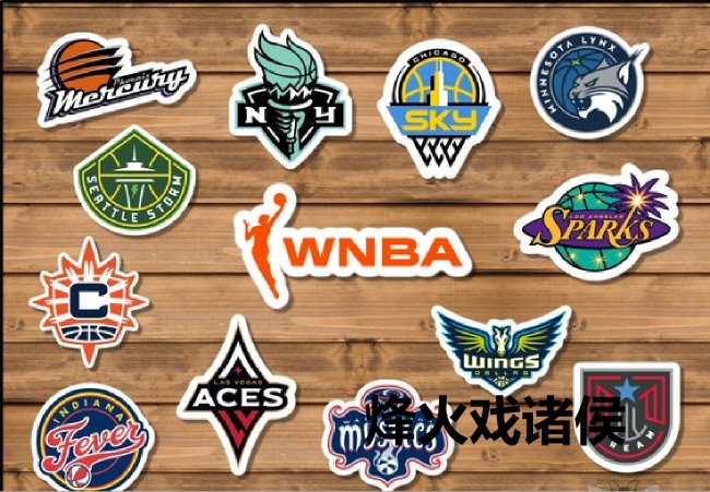 2025赛季WNBA行将开战